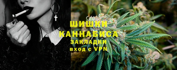 дмт Ладушкин