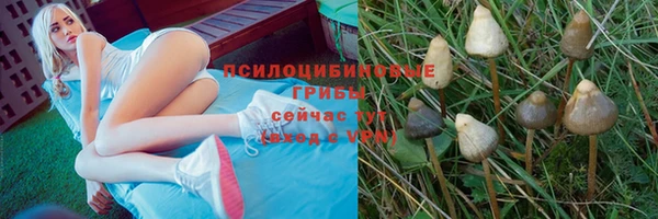 метадон Лабытнанги