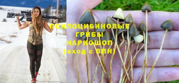 метадон Лабытнанги