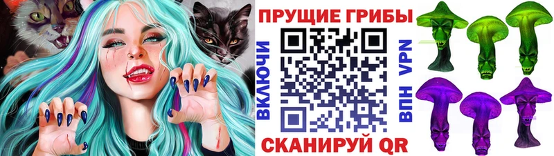 Галлюциногенные грибы Magic Shrooms  купить закладку  Щучье 